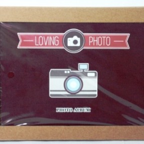 DIY Photo Album (LOVING)